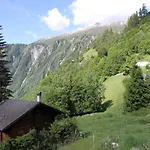 Glacier Views & Trails 公寓 纳特斯