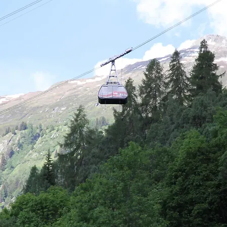 Glacier Views & Trails