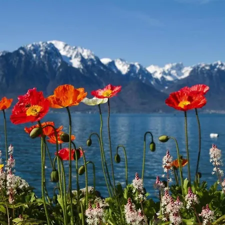 Glacier Views & Trails * Blatten bei Naters