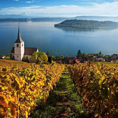 Glacier Views & Trails