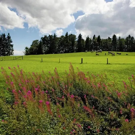 Glacier Views & Trails Blatten bei Naters
