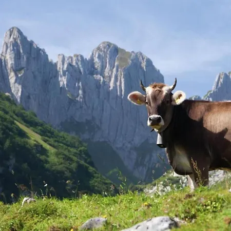 Glacier Views & Trails * Blatten bei Naters