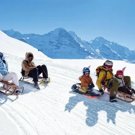Glacier Views & Trails
