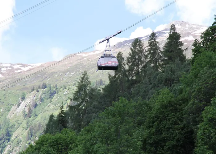 Glacier Views & Trails