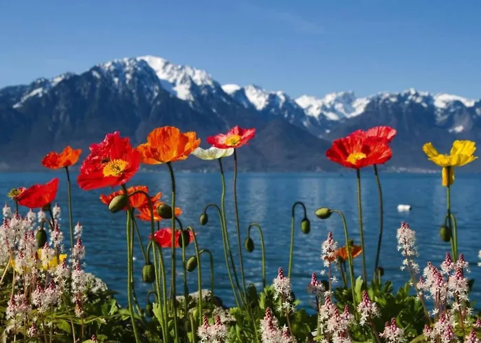 Glacier Views & Trails * Blatten bei Naters