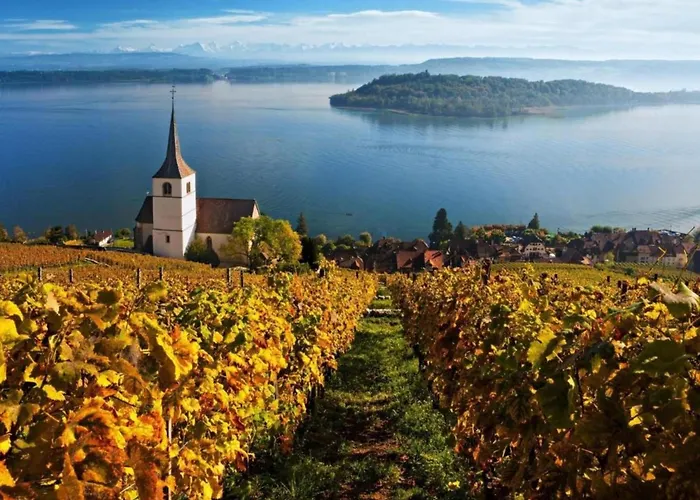 Glacier Views & Trails