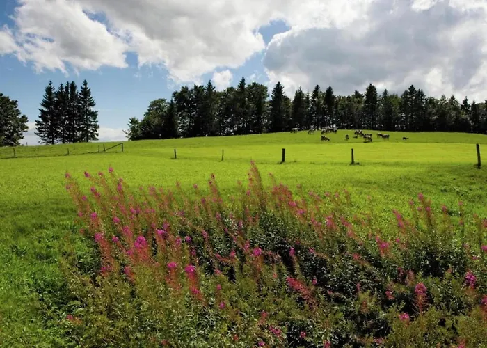 Glacier Views & Trails Blatten bei Naters