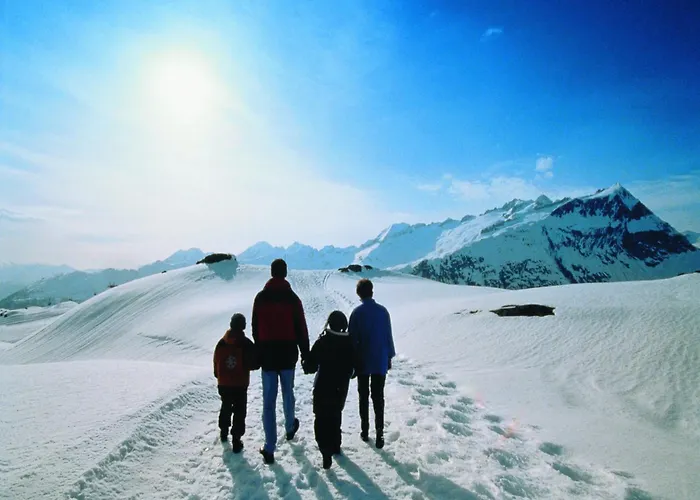 Apartman Glacier Views & Trails