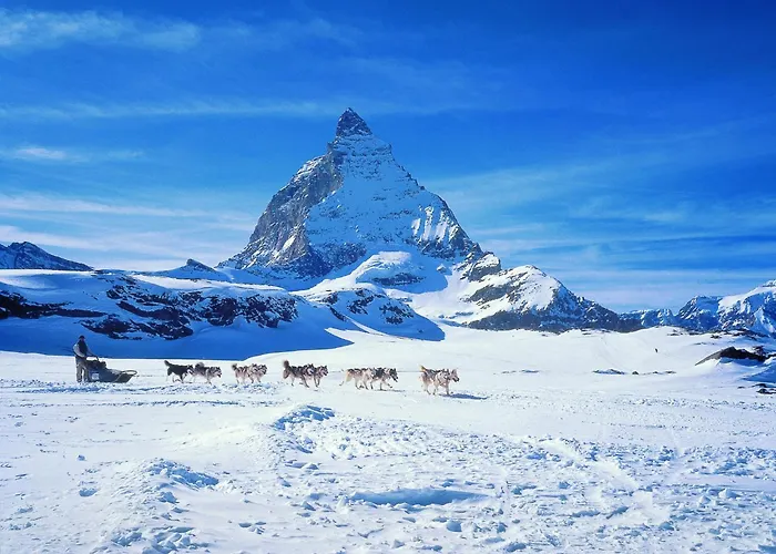 Glacier Views & Trails Apartman *