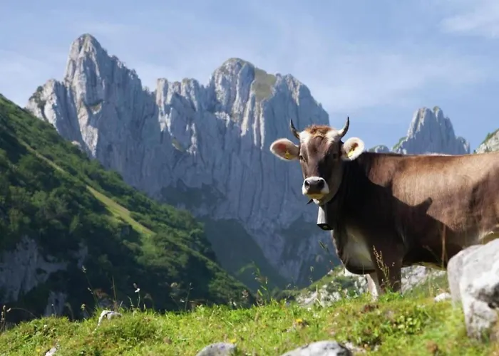 Glacier Views & Trails * Blatten bei Naters