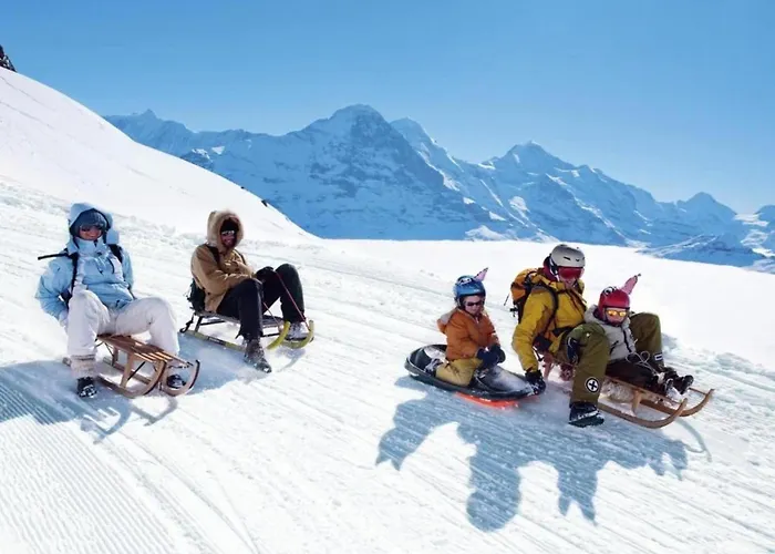 Glacier Views & Trails