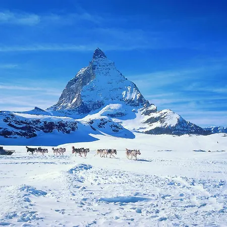 Glacier Views & Trails Appartement *